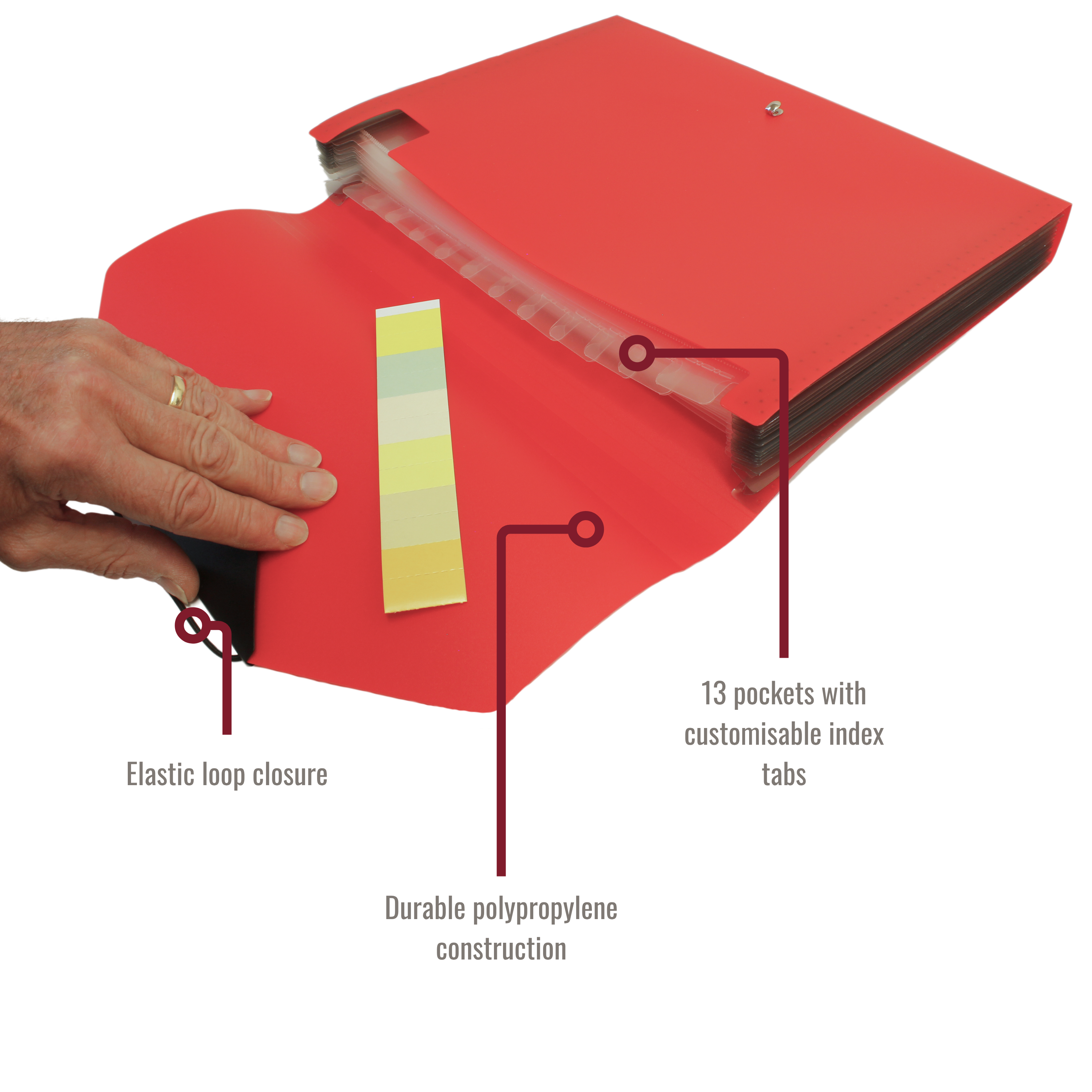 13 Pocket Triangle Flap Expanding File