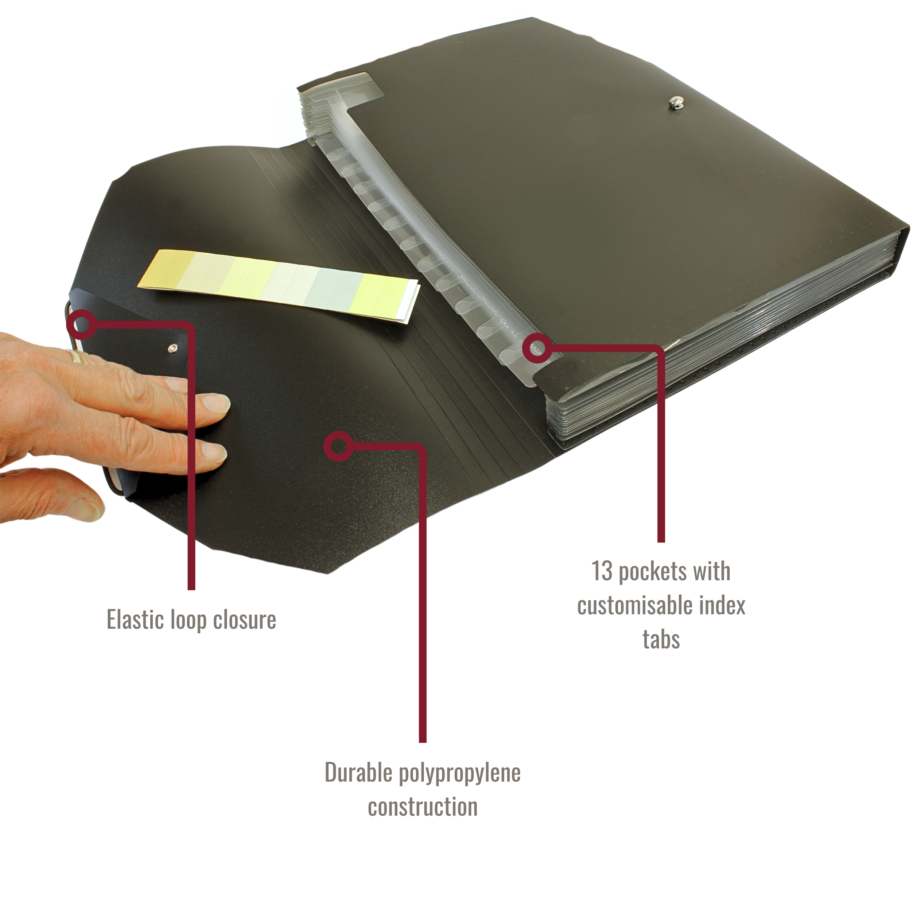 13 Pocket Triangle Flap Expanding File