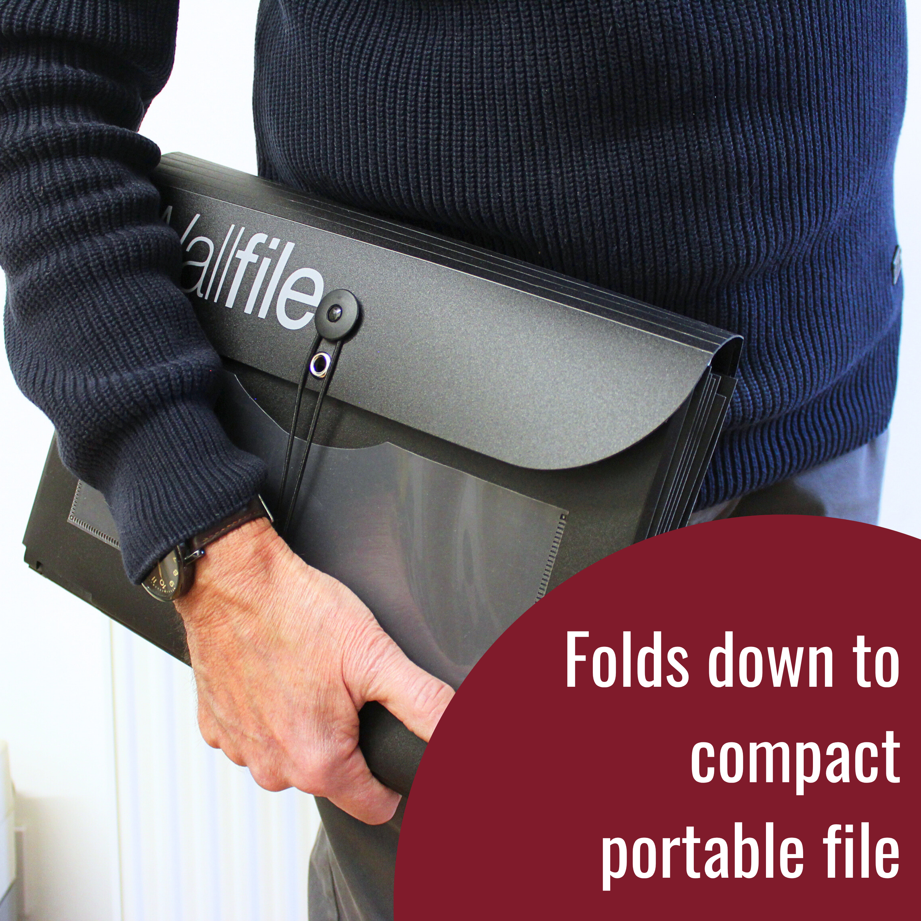 7 Pocket Expandable Wall File and Portable Organizer