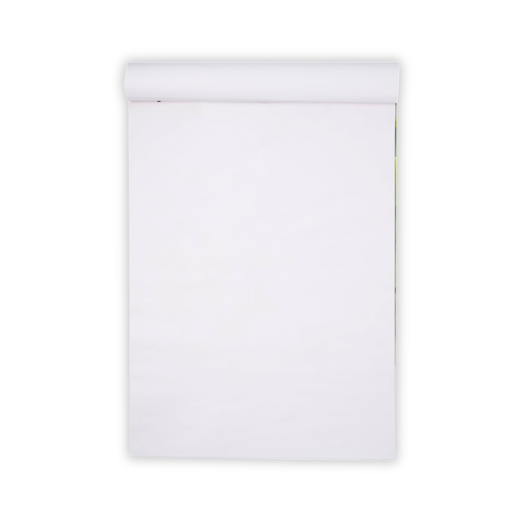 FlipChart Pad A1 (800 x 580) 40 Leaf Plain -  Pack of 5