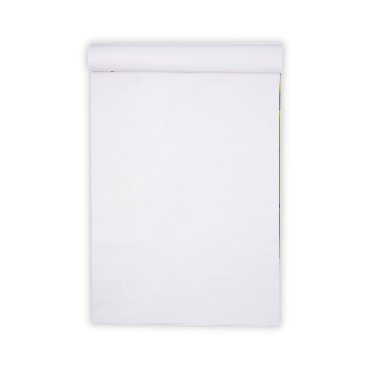 FlipChart Pad A1 (800 x 580) 40 Leaf Plain -  Pack of 5